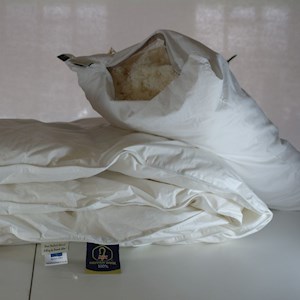 Cashmere Filled Pillow